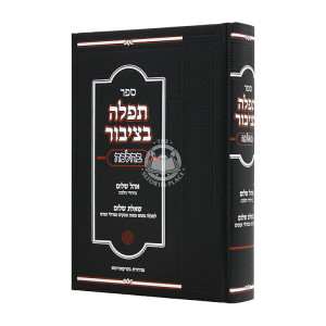 Tefillah B'tzibur B'Halacha / תפלה בציבור בהלכה 