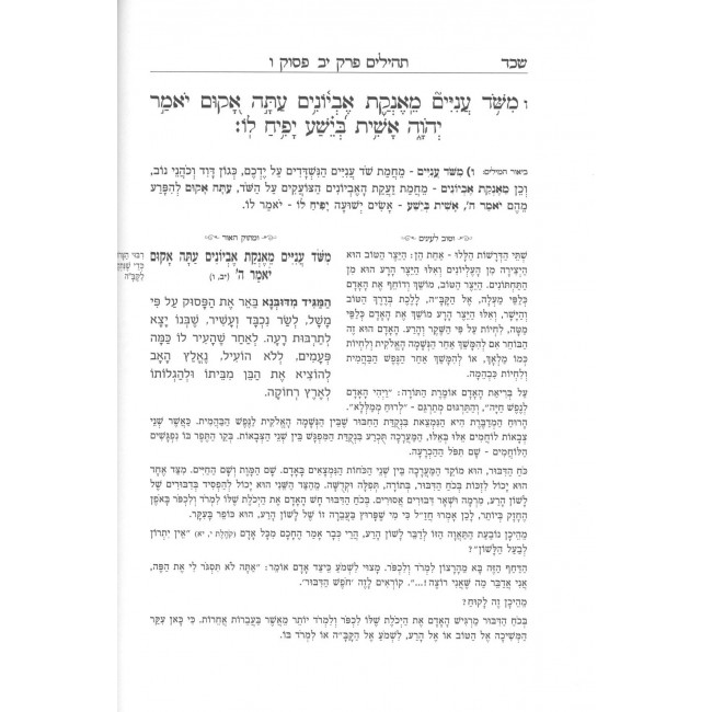 Umasok Haor Vetov Lenayim Tehillim 1 (1-17) / ומתוק האור וטוב לעיניים - תהילים א (א - י"ז)