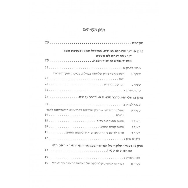 Shearim L'Chidushei Rabbi Shimon / שערים לחידושי רבי שמעון Shearim L'Chidushei Rabbi Shimon / שערים לחידושי רבי שמעון