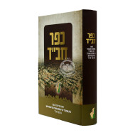 Kfar Chabad   /   כפר חב"ד