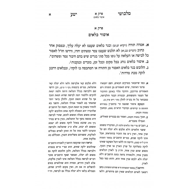 Machaneh Yehuda Vishchinoseha  / מחנה יהודה ושכנותיה