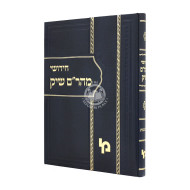 Chidushei Maharam Shik Kesubos   /  חידושי מהר"ם שיק כתובות