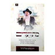 Misvadim Im Harav Menachem Mendel Groner 1  /  מתוועדים עם הרב מנחם מענדל גרונר א