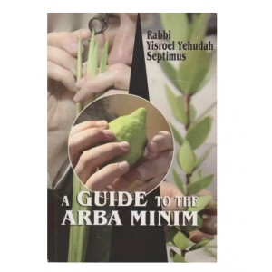 A Guide to the Arba Minim