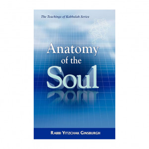 Anatomy of the Soul   