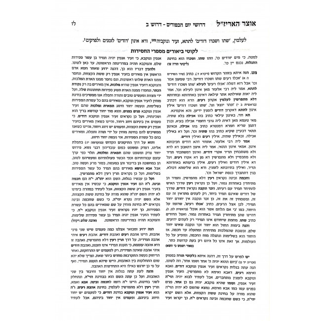 Otzer HaArizal Yom Kippur  / אוצר האריז"ל יום כיפור