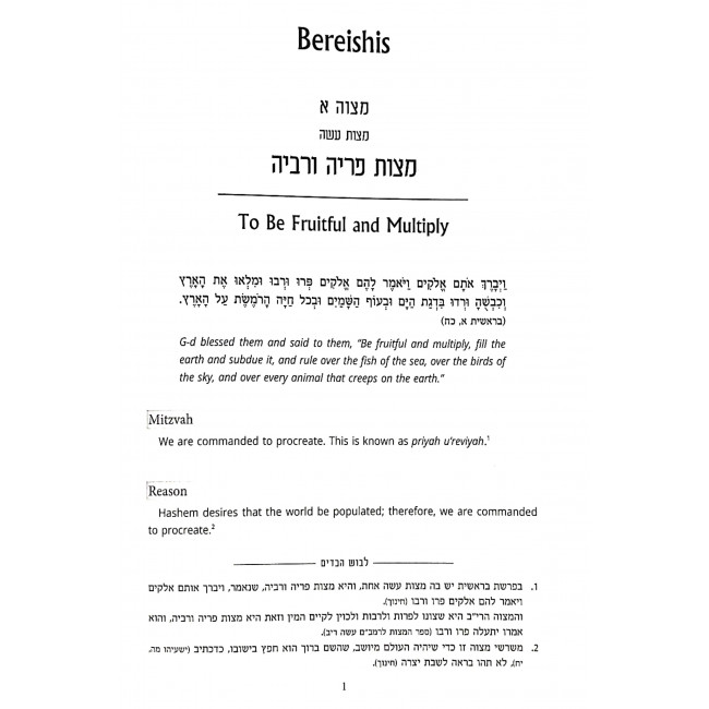 Badei HaMitzvos Volume 1