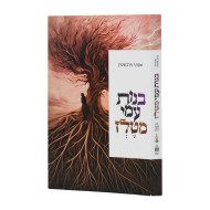 Bnos Ami Mitelz  /  בנות עמי מטלז