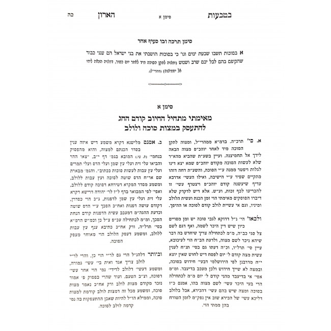 B'Tivos HaAron Al Hilchos Sukkah  / בטבעות הארון על הלכות סוכה