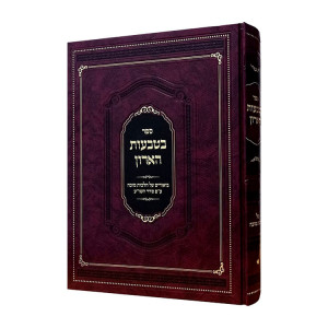 B'Tivos HaAron Al Hilchos Sukkah  / בטבעות הארון על הלכות סוכה