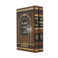 Da'as Tevunos - Derech Hashem HaMevoar - Im Beiur Mesilas Derech 2 Volume Set / דעת תבונות - דרך ה' המבאר - עם באור מסלת דרך ב כרכים
