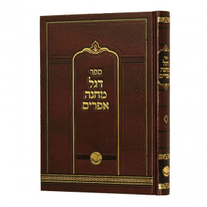 Degel Machane Efrayim - Machon Ohr HaChaim / דגל מחנה אפרים - מכון אור החיים