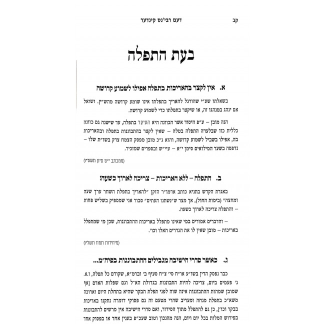 Dem Rebbins Kinder / דעם רבי'נס קינדער Dem Rebbins Kinder / דעם רבי'נס קינדער