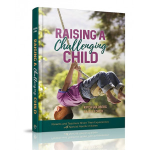 Raising a Challenging Child