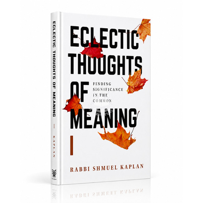Eclectic Thoughts of Meaning Volume 1