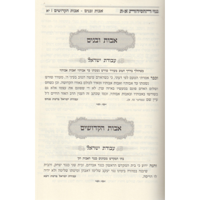 Ginzei Hachasidus Alef-Taf Volume 2 / גנזי החסידות א-ת חלק ב