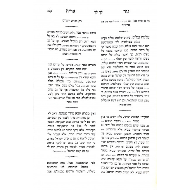 Gur Aryeh Peirush Rashi Al Hatorah M'Maharal M'Prague 2 Volumes  / גור אריה ביאור על פירוש רש"י על התורה ממהר"ל מפראג ב כרכים