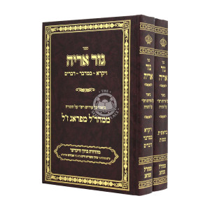 Gur Aryeh Peirush Rashi Al Hatorah M'Maharal M'Prague 2 Volumes  / גור אריה ביאור על פירוש רש"י על התורה ממהר"ל מפראג ב כרכים