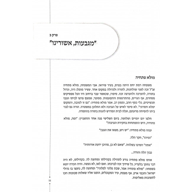 Rabbeinu HaOr L'Tzion Volume 1  / רבינו האור לציון חלק א