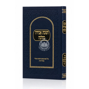 HaShavas Aveida K'Halacha / השבת אבידה כהלכה