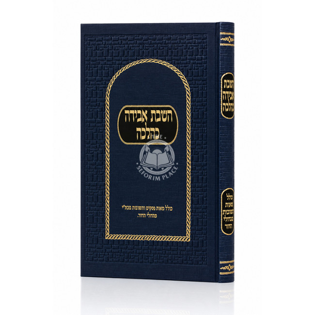 HaShavas Aveida K'Halacha / השבת אבידה כהלכה