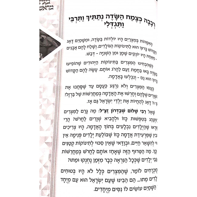 Haggadah Magid Meiraishis / הגדה מגיד מראשית