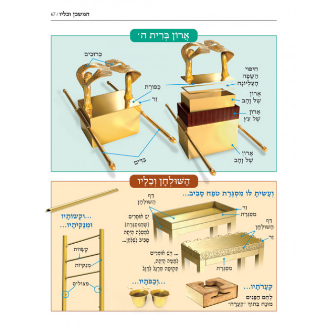 The Book of Torah Timelines, Charts and Maps - HEBREW Edition (Hebrew Edition Paperback) /  מפות ,טבלאות ,וסדרי המאורעות שבתורה