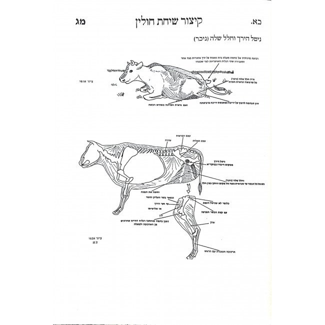 Kitzur Sichas Chulin Al Mesechta Chulin / קיצור שיחת חולין על מסכת חולין Kitzur Sichas Chulin Al Mesechta Chulin / קיצור שיחת חולין על מסכת חולין