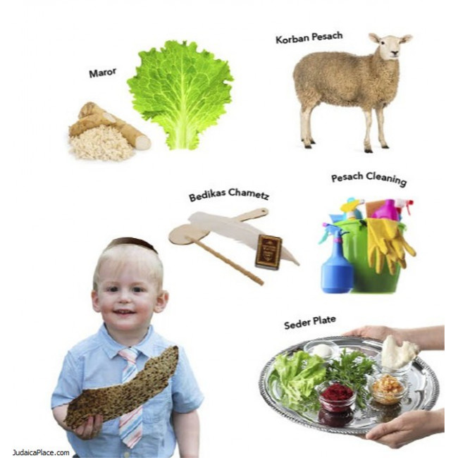 My First Book of Jewish Holidays My First Book of Jewish Holidays