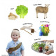 My First Book of Jewish Holidays My First Book of Jewish Holidays