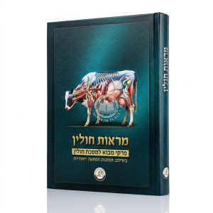 Maros Chulin - Kol HaLashon / מראות חולין - קול הלשון