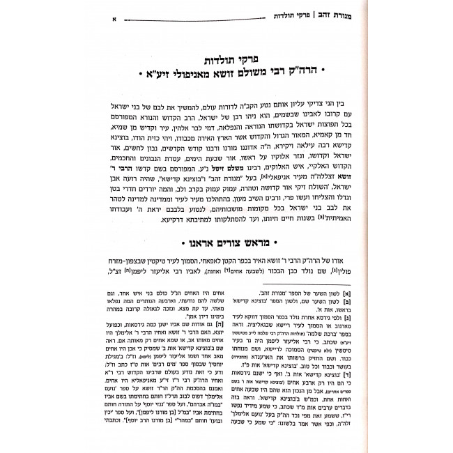 Menoras Zahav HaChadash Hamevuar / מנורת זהב החדש המבואר