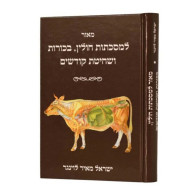 Meor L'Mesechtos Chulin, Bechoros V'Shechitas Kodshim / מאור למסכתות חולין, בכורות ושחיטת קדשים