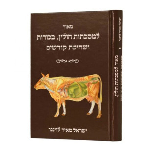 Meor L'Mesechtos Chulin, Bechoros V'Shechitas Kodshim / מאור למסכתות חולין, בכורות ושחיטת קדשים