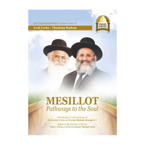 Mesillot Pathways to the Soul 5 Volumes