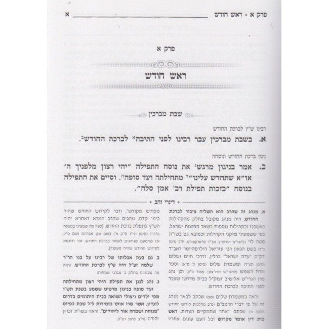 Minhagei Maharitz Halevi  /  מנהגי מהרי"צ הלוי
