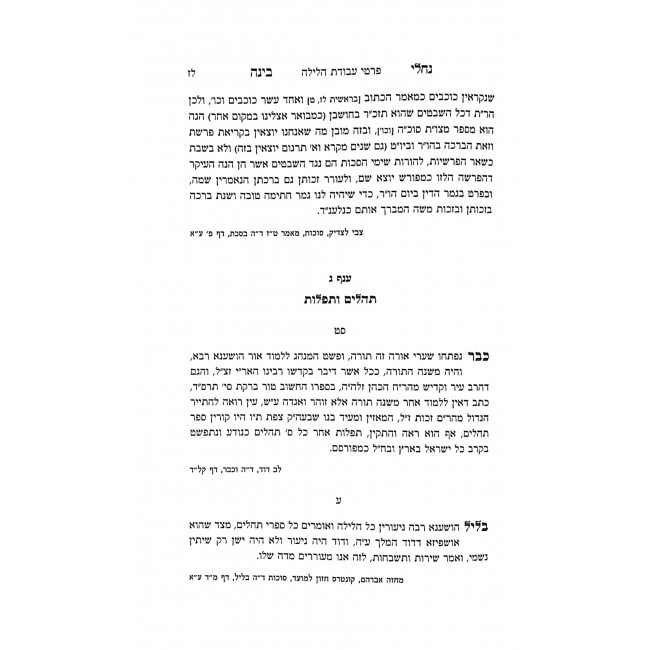 Nachalei Binah Al Hoshanoa Raba V'Al Seder Hoshanos  / נחלי בינה על הושענה רבה ועל סדר הושענות