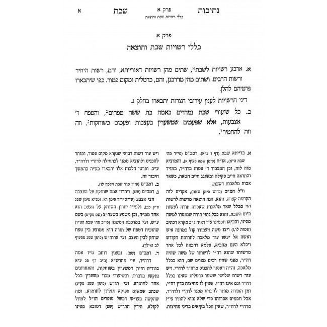 Nesivos Shabbos - Hilchos Hotzoah V'Eruvin 2 Volume Set / נתיבות שבת - הלכות הוצאה ועירובין ב כרכים Nesivos Shabbos - Hilchos Hotzoah V'Eruvin 2 Volume Set / נתיבות שבת - הלכות הוצאה ועירובין ב כרכים