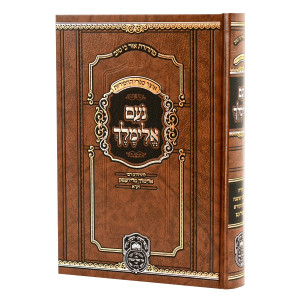 Noam Elimelech Menukad / נועם אלימלך מנוקד