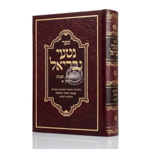 Nitei Gavriel Hilchos Shabbos Volume 1 / נטעי גבריאל - הלכות שבת א