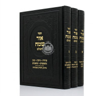 Ohr Sameach Al Harambam / אור שמח על הרמב"ם - ג כרכים