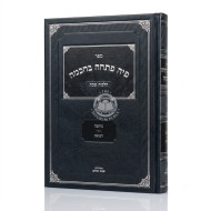 Piha Poschah B'chochmah - Hilchos Shabbos Volume 3 / פיה פתחה בחכמה - הלכות שבת חלק ג