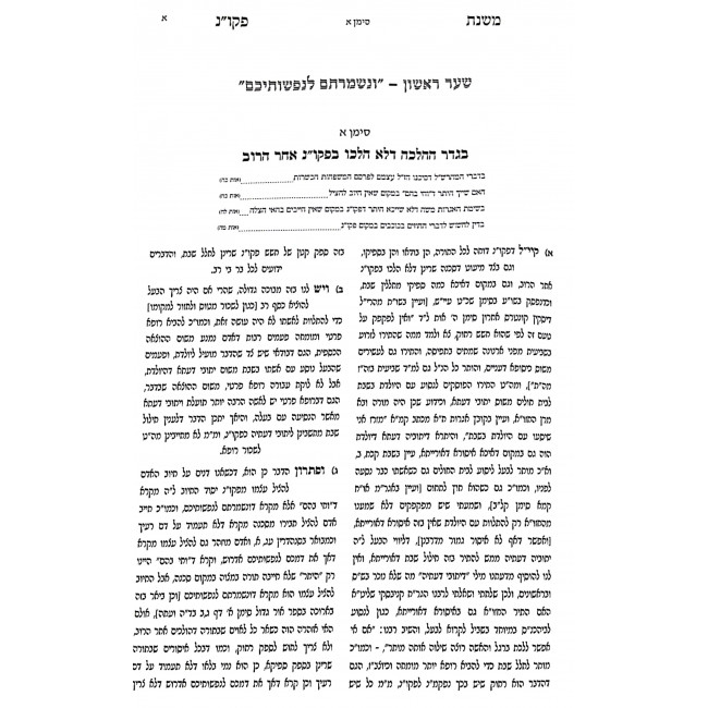 Mishnas Pikuach Nefesh 2 Volume Set / משנת פקוח נפש ב כרכים