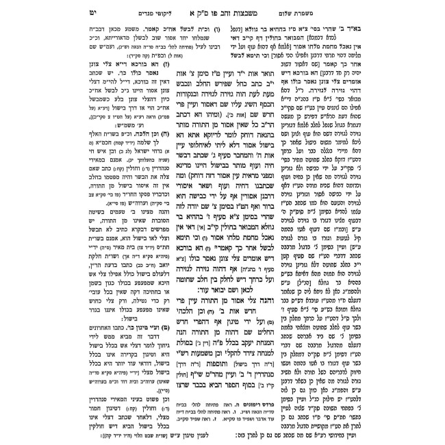 Pri Megadim Hashalem - Basar B'Chalav 1 Simanim 87-97 / פרי מגדים השלם - בשר בחלב א סימנים פז-צז