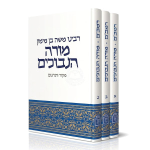 Rambam Moreh HaNevuchim 3 Volume Set / רמב"ם מורה הנבוכים ג כרכים