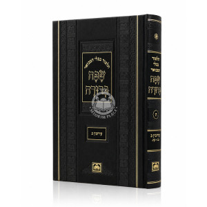 Safa Berura - Eiruvin Volume 2 Small / שפה ברורה - עירובין חלק ב קטן
