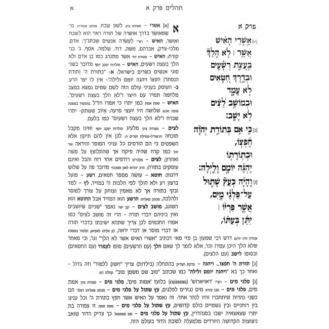 Sefer Tehillim Im Tosfos Chaim / ספר תהלים עם תוספת חיים Sefer Tehillim Im Tosfos Chaim / ספר תהלים עם תוספת חיים