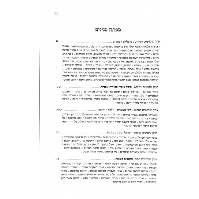 Shabbos K'Halacha Volume 5  /  שבת כהלכה חלק ה