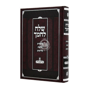 Shalech L'Chamecha Bereishis  / שלח לחמך בראשית