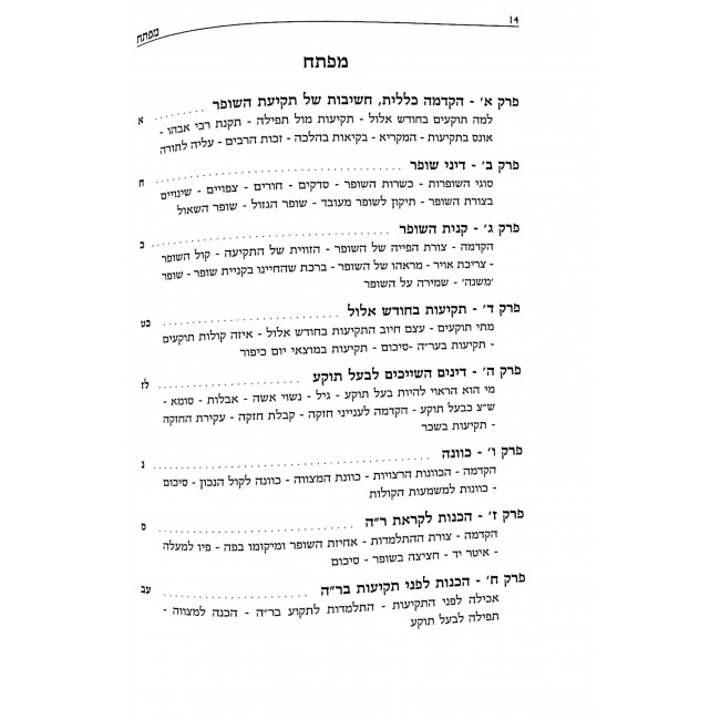 Shufra D'Shofar  / שופרא דשופר